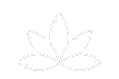 Aki Inu Tech logo